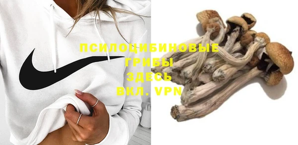 a pvp Алексеевка