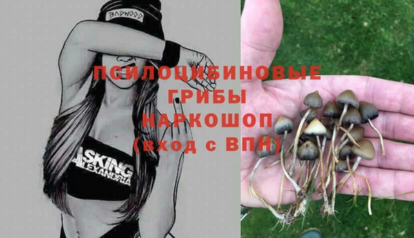 a pvp Алексеевка