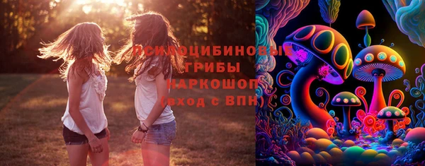 эйфоретик Алексин