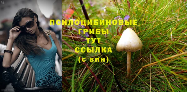 эйфоретик Алексин