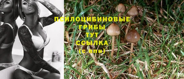 эйфоретик Алексин